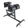 Robust sort glute ham bench med polstrede ruller og halvbuede puder, ideel til styrketræning af baglår og glutes.