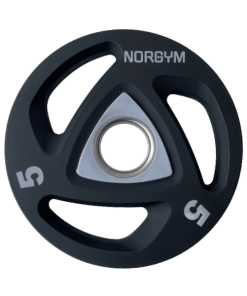 En vægtskive på 5 kg med en diameter på 50 mm. Den er grå med tre huller og har mærket "NORGYM".