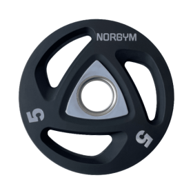 En vægtskive på 5 kg med en diameter på 50 mm. Den er grå med tre huller og har mærket "NORGYM".