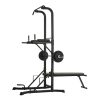 Tunturi PT60 Multi Power Tower til styrketræning med pull-up bar, dip station og vægtstangsholder.
