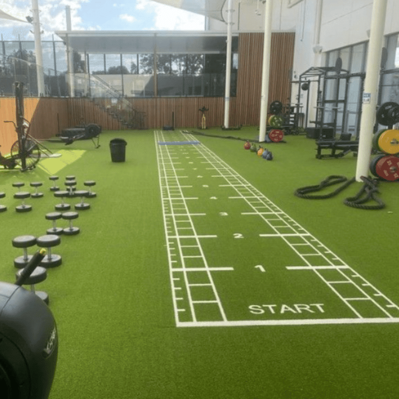 Pavigym 24