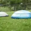 To BOSU-baller på en græsplæne.