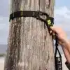 TRX-stropper omkring et træ, klar til træning.